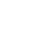 Settlement Trust icon